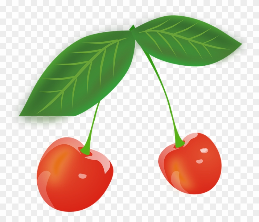 Cherry, Fruits, Red, Berries, Leaves - Png Cartoon Cherries Clipart