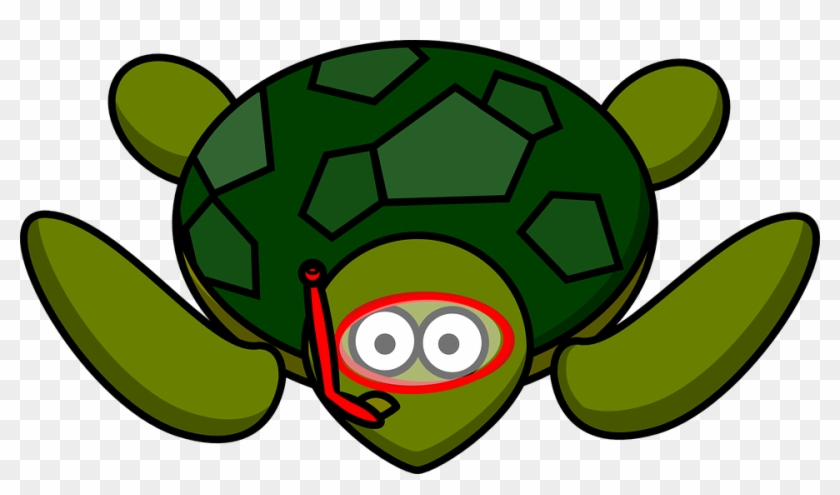 Animal Nature Free Vector Graphic On Pixabay - Cartoon Turtle Clipart #3129281