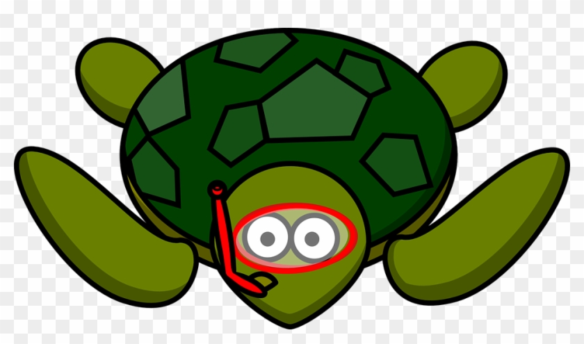Animal Nature Free Vector Graphic On Pixabay - Cartoon Turtle Clipart