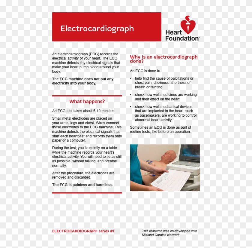 Heart Foundation Nz Clipart