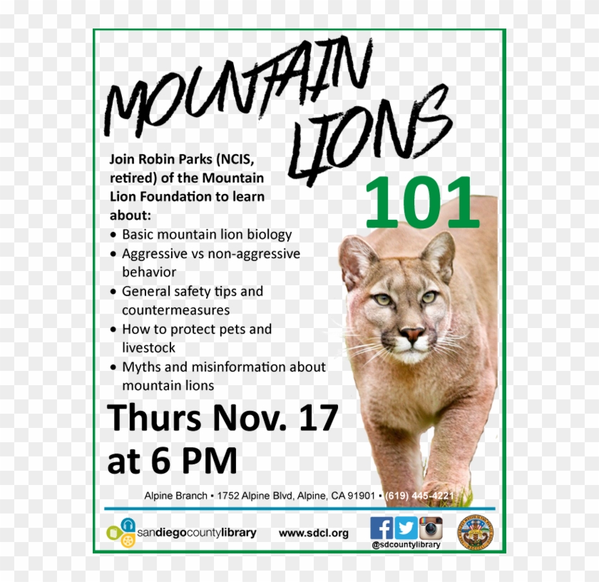 Mountain Lion Talk - Swimming Party Invitations Clipart #3129983