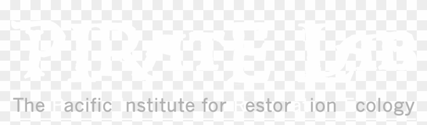 Sean Anderson's Pirate Lab - Poster Clipart