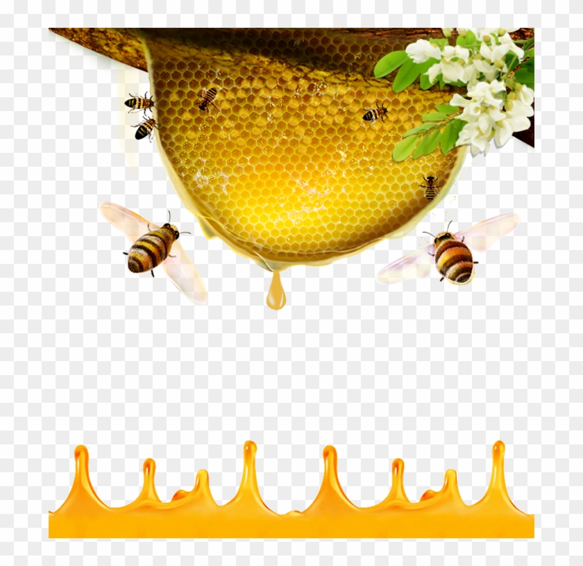 Bees Transparent Honey Australian - Honey Bee Hive Png Clipart #3130307