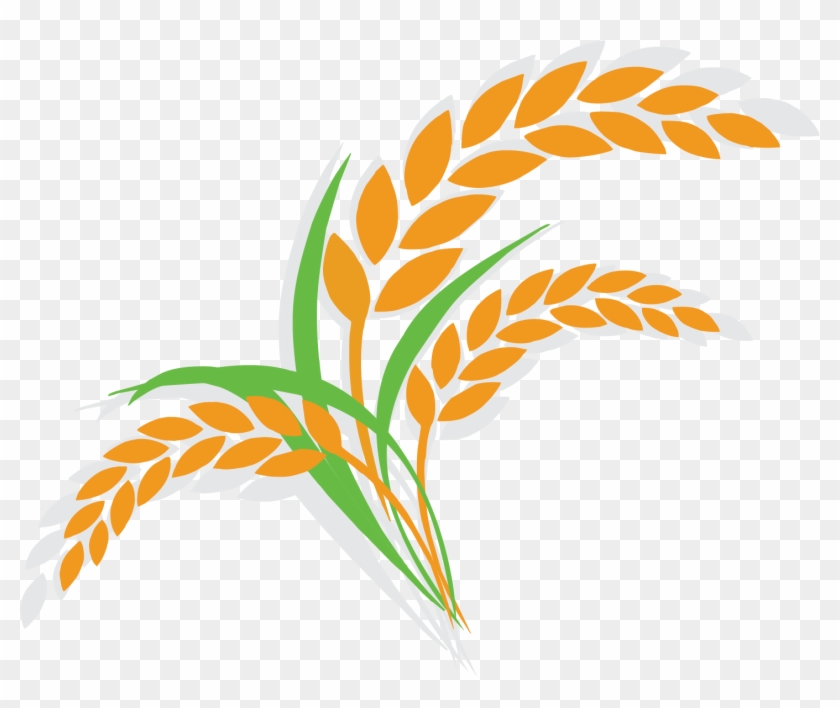 Oatmeal Clipart Breakfast Item - Rice Plant Clipart Png Transparent Png #3132572