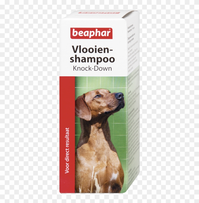 Obojok Proti Blchám Clipart #3133982