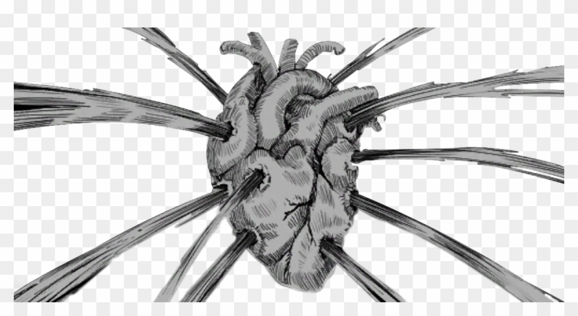 Illustration Clipart