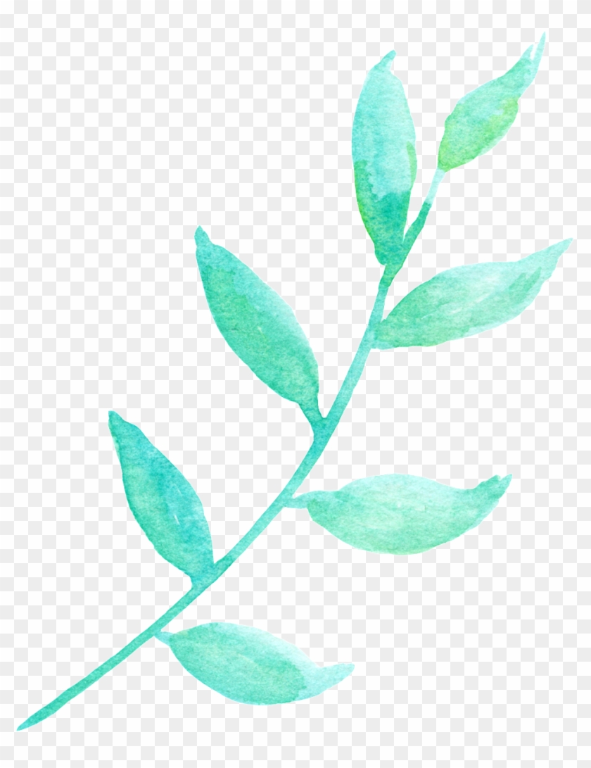 La Luz Del Sol Y La Hoja Verde Cartoon Png Transparente - Flower Clipart #3134334