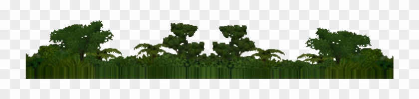 Rainforest Png Transparent Background - Rainforest Foliage Zt2 Clipart #3136004