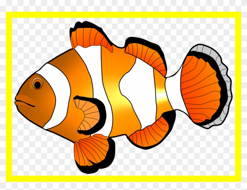 Astonishing Clown Fish Illustration Hanslodge Image - Fish Clip Art - Png Download