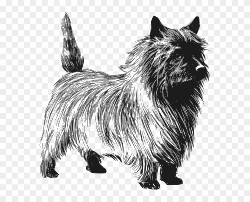 Dog Svg Clip Arts 576 X 599 Px - Cairn Terrier Clipart - Png Download