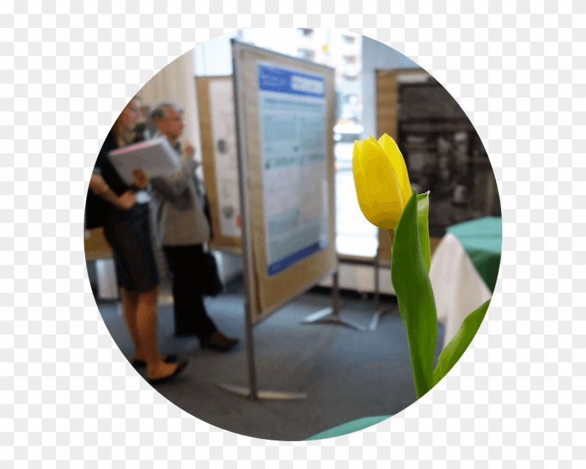 Poster Award Winners - Tulip Clipart