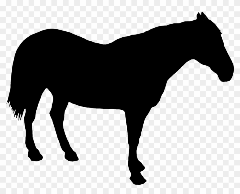 Horse Standing Silhouette - Zebra Silhouette Clipart