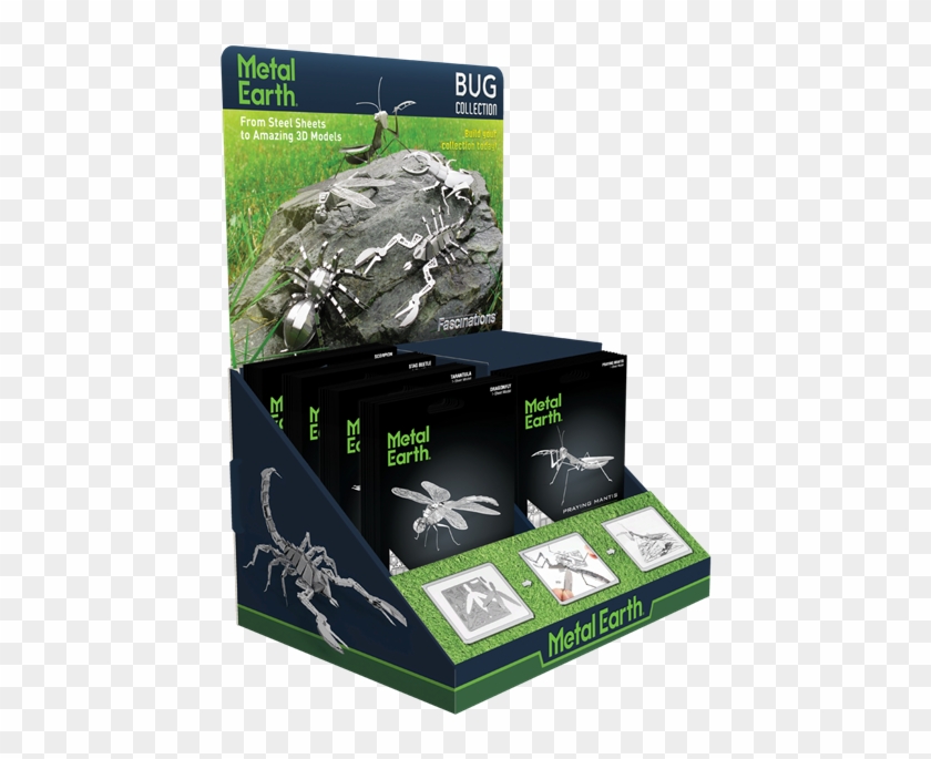 Picture Of Bugs Prepack - Insect Clipart #3138924