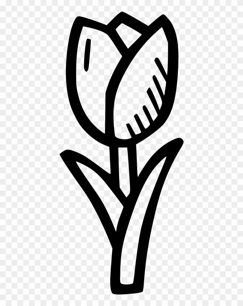 Png File Svg Clipart #3138946