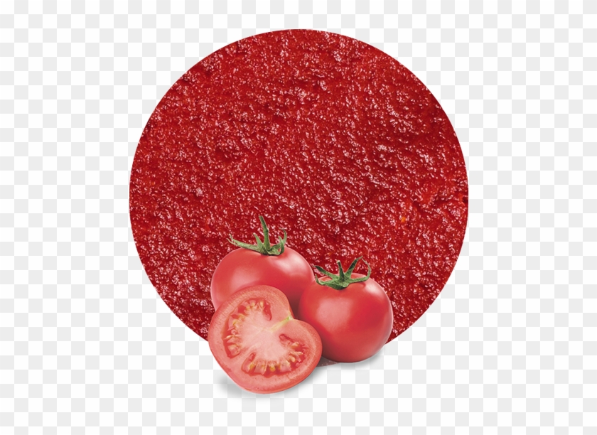 Tomato Paste Concentrate - Plum Tomato Clipart #3139036