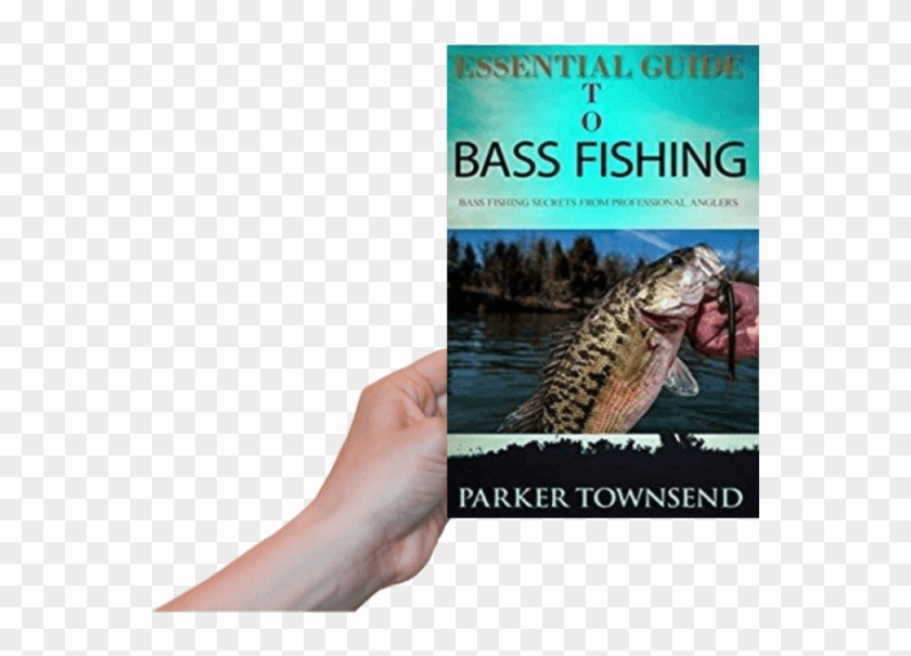 Close Angler Connection Monthly Newsletters - Trout Clipart #3139266