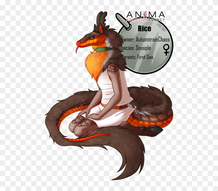 Racoon Clipart Chester - Cartoon - Png Download