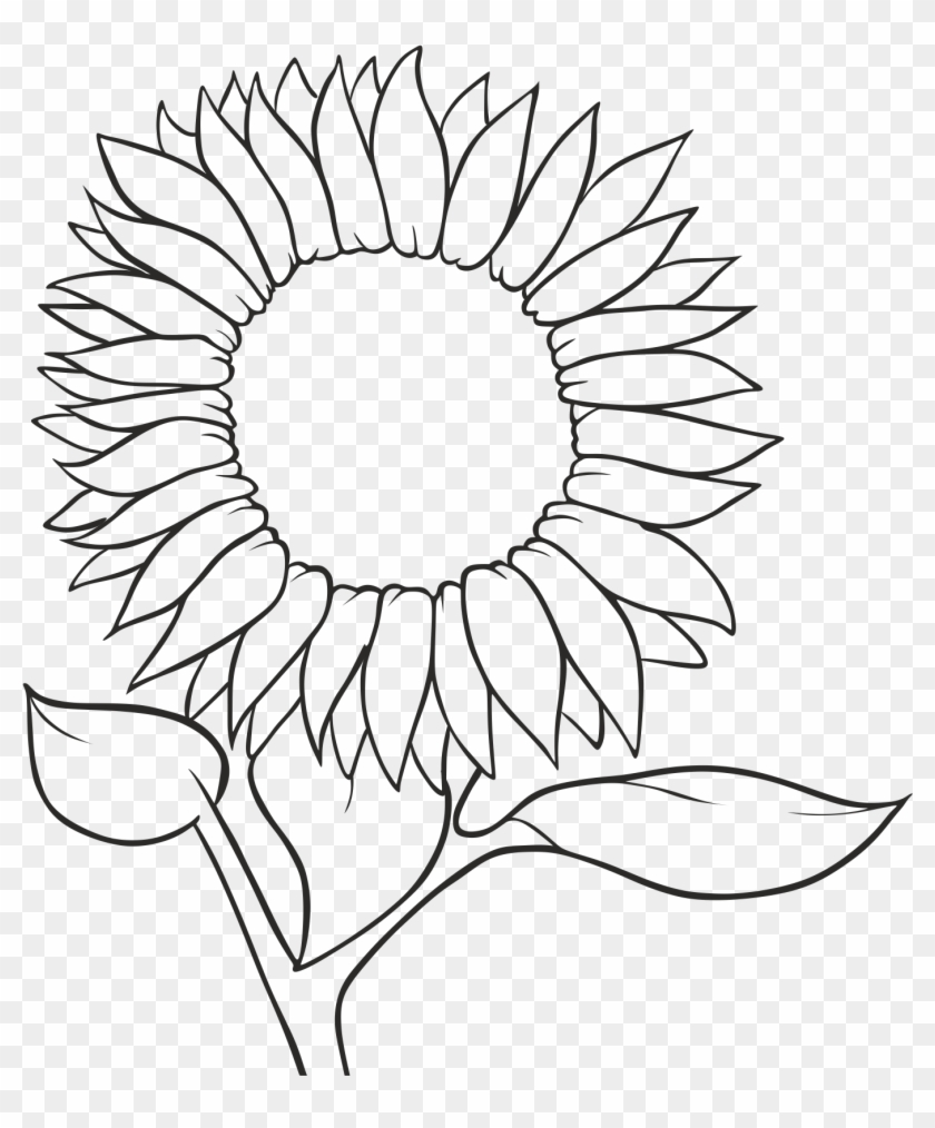 Common Seed Sketch - Free Line Drawing Sunflower Clipart #3140516