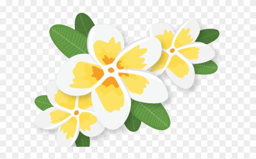 Plumeria Clipart Svg - Motif - Png Download