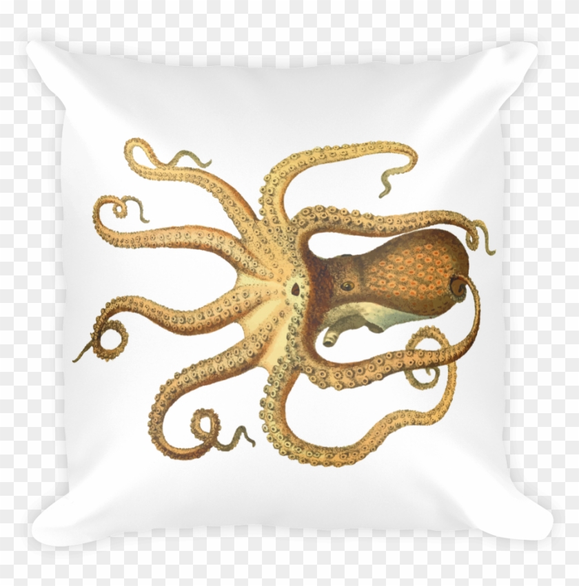 Vintage Octopus 2400px Mockup Front Original - Throw Pillow Clipart