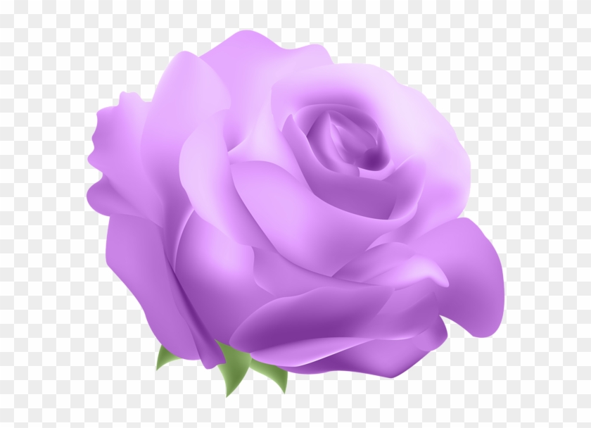 0, - Blue Rose Clipart #3144339