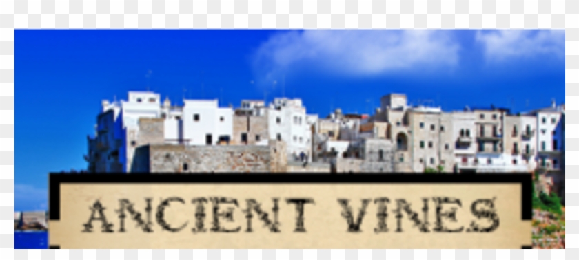 Cala Porto Clipart #3144573