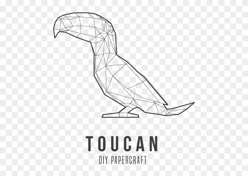Brazil Drawing Toucans - Sketch Clipart