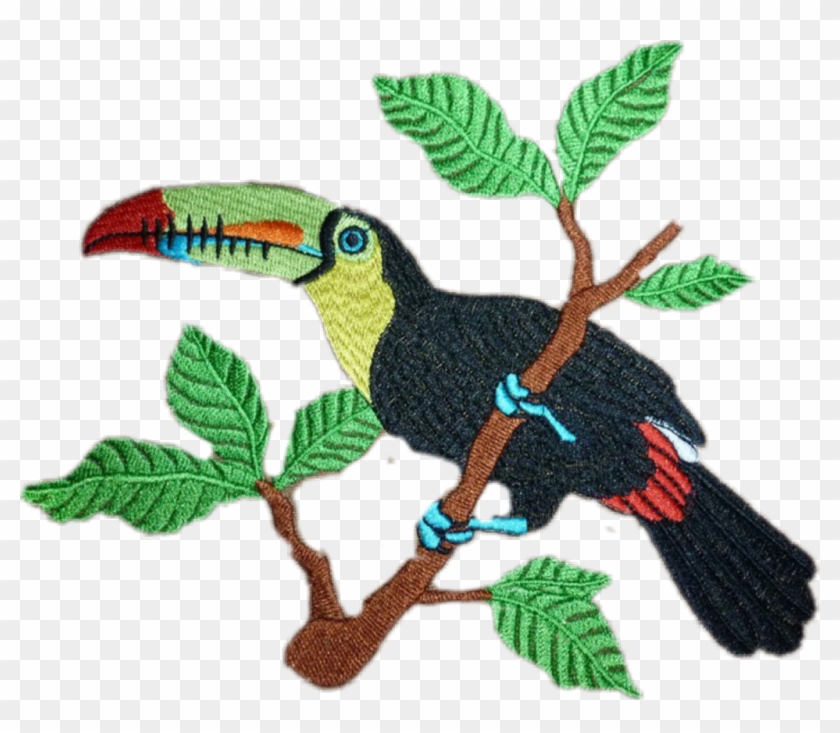 Toucan Sticker - Bordado Tucano Clipart #3145286