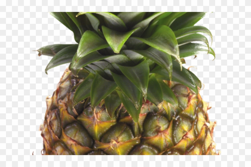 Pineapple Clipart Eye - Pineapple Clipart Transparent Background - Png Download #3146459