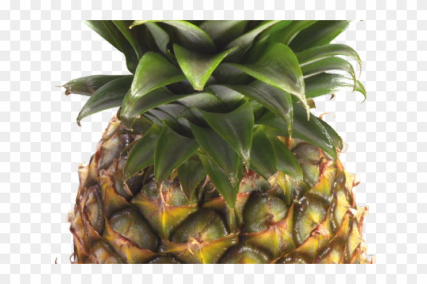 Pineapple Clipart Eye - Pineapple Clipart Transparent Background - Png Download