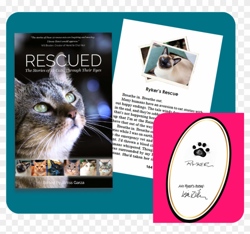 March Book Sales Help Find Homes For The Cats At Great - Books About Rescued Cats Clipart