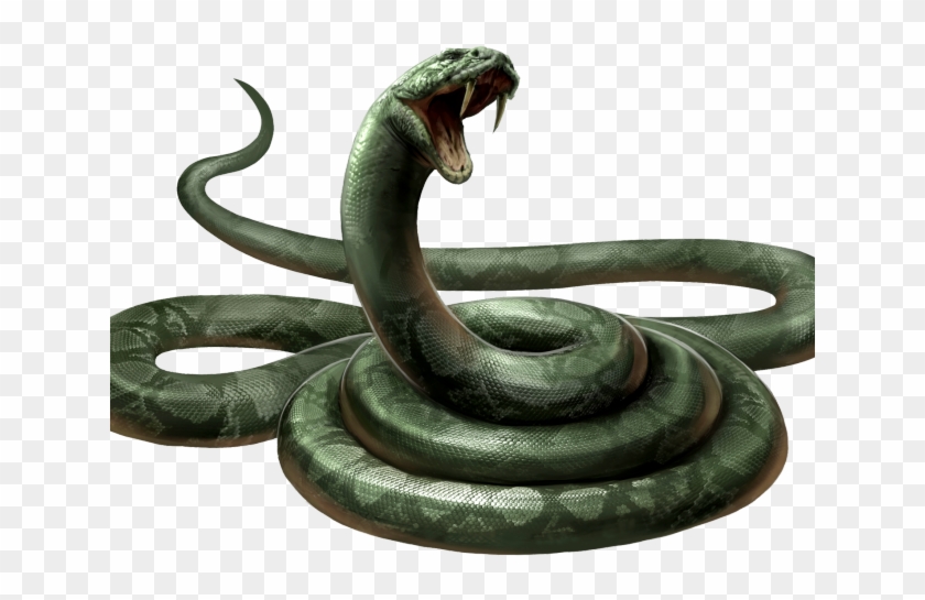 Serpent Pictures - Nagini Harry Potter Clipart #3148086