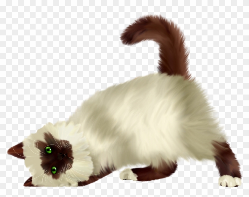Cat Png Picture - Fox Squirrel Clipart #3148907