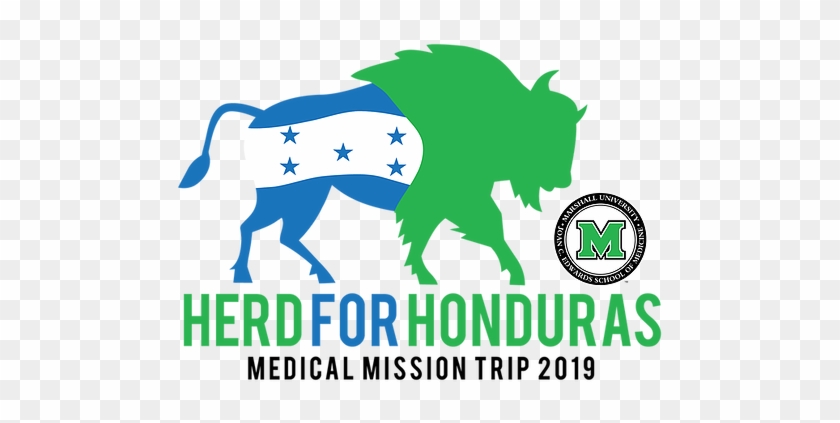 June 30-july 7, - Bisao Americano Logo Clipart