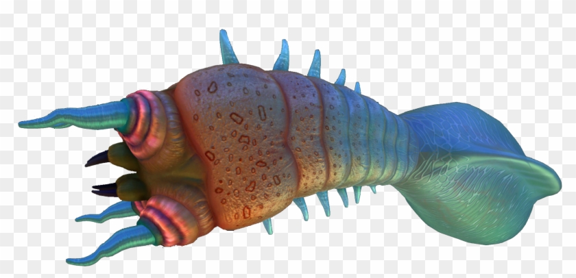 Bleeder Subnautica Wiki Fandom Powered By Wikia - Bleeder Subnautica Clipart #3151709