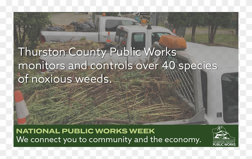 Loading Seems To Be Taking A While - Salon International Du Chat Clipart