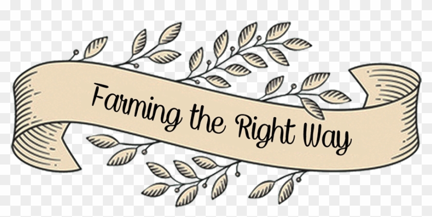 Calligraphy Clipart #3153452