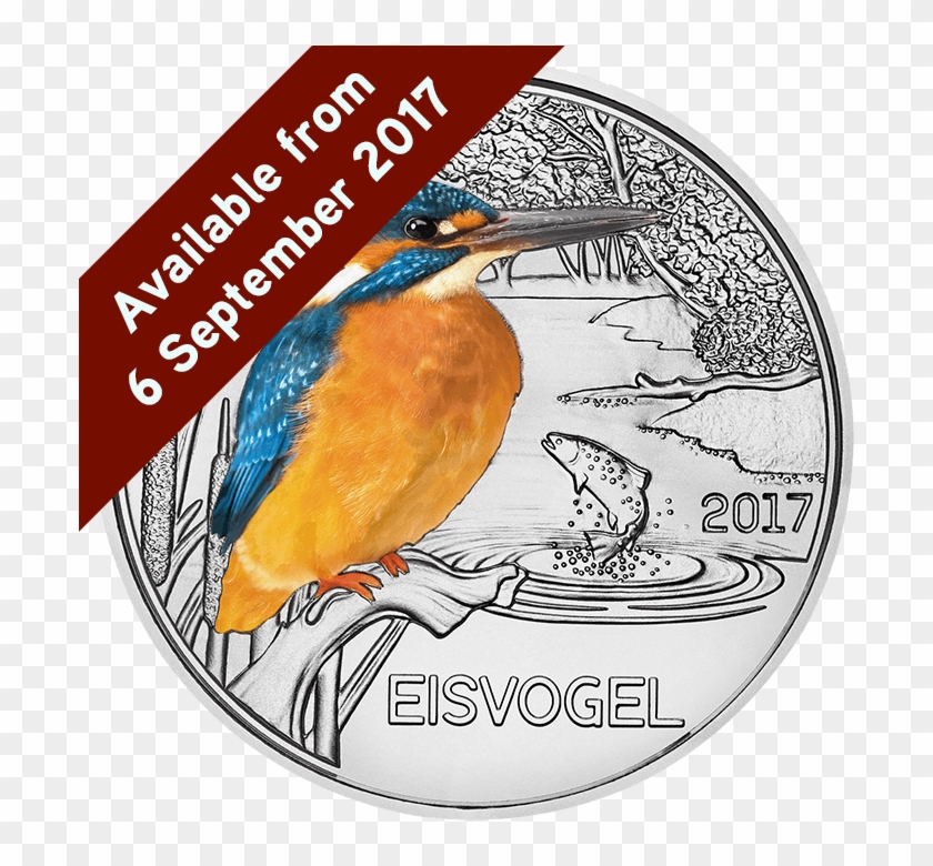 The Kingfisher Glow In The Dark Silver Coin Clipart