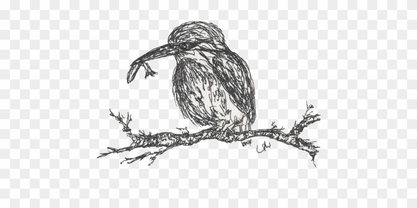 Kingfisher - Sketch Clipart