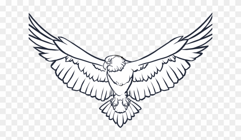 Drawn Brds Eagle - Bald Eagle Clip Art Black And White - Png Download