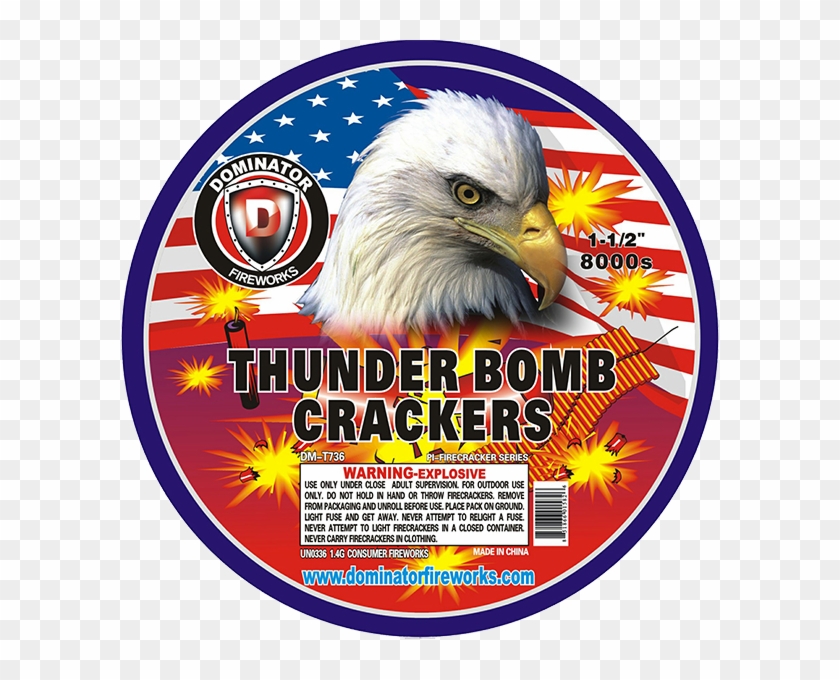 8000 Roll Firecrackers - Accipitridae Clipart