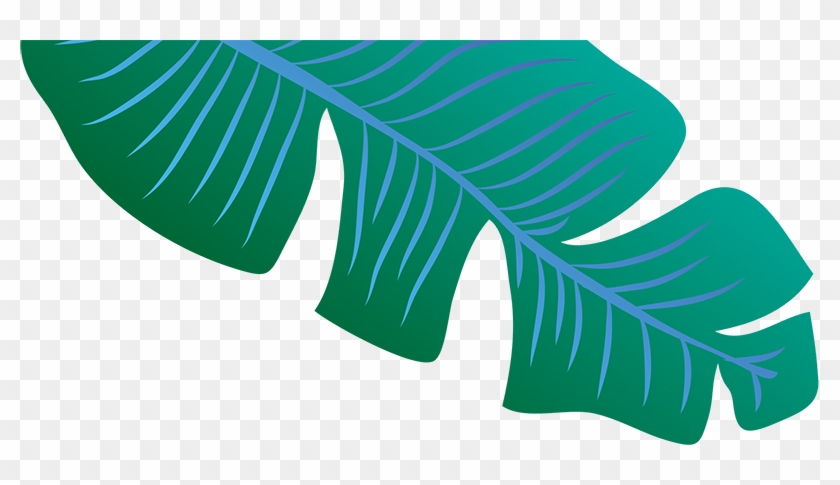 Footer Leaf Image - Tree Clipart