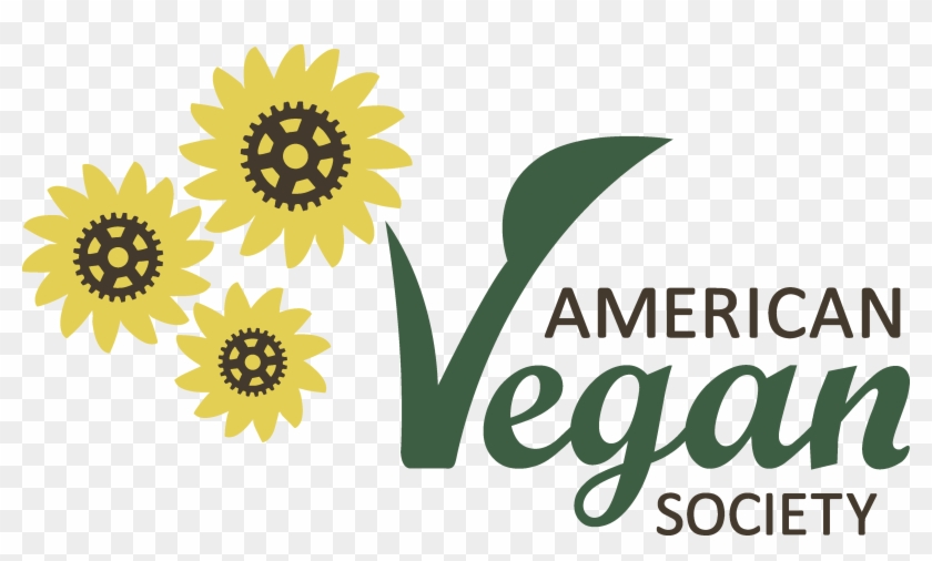 African Daisy Clipart #3157103