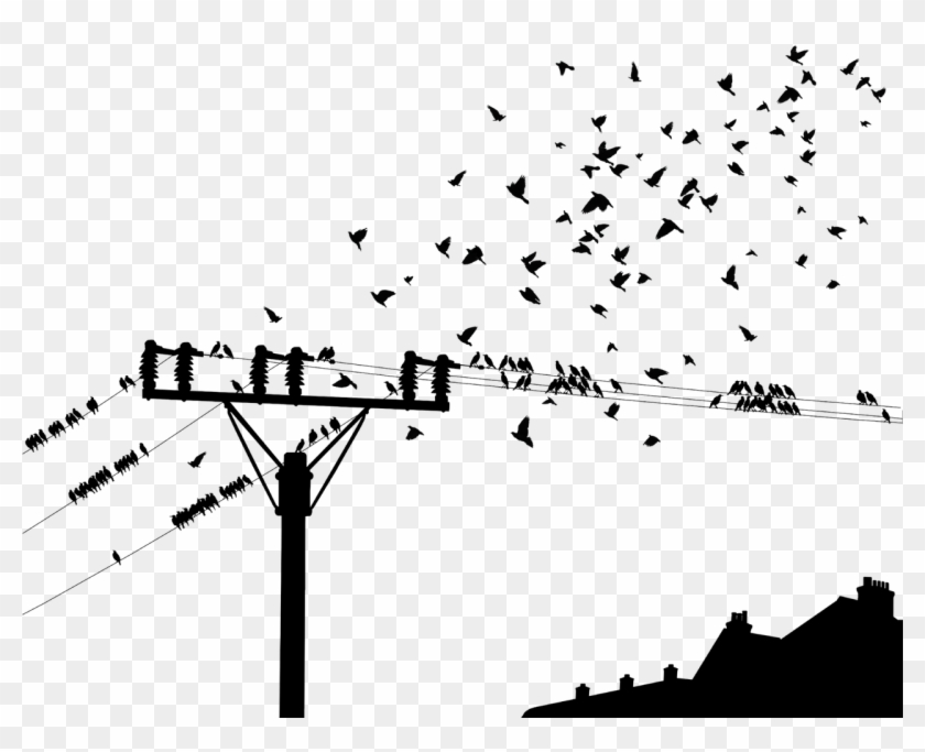 Birds The Flight Of Birds Pole Png Image - Birds On A Wire Png Clipart