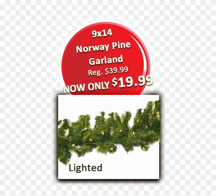 9 9×14 Norway Pine Garland Lit - Insight Global Clipart #3162893