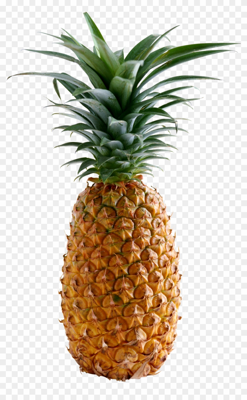 Pineapple Free Pictures - Pineapple Clipart