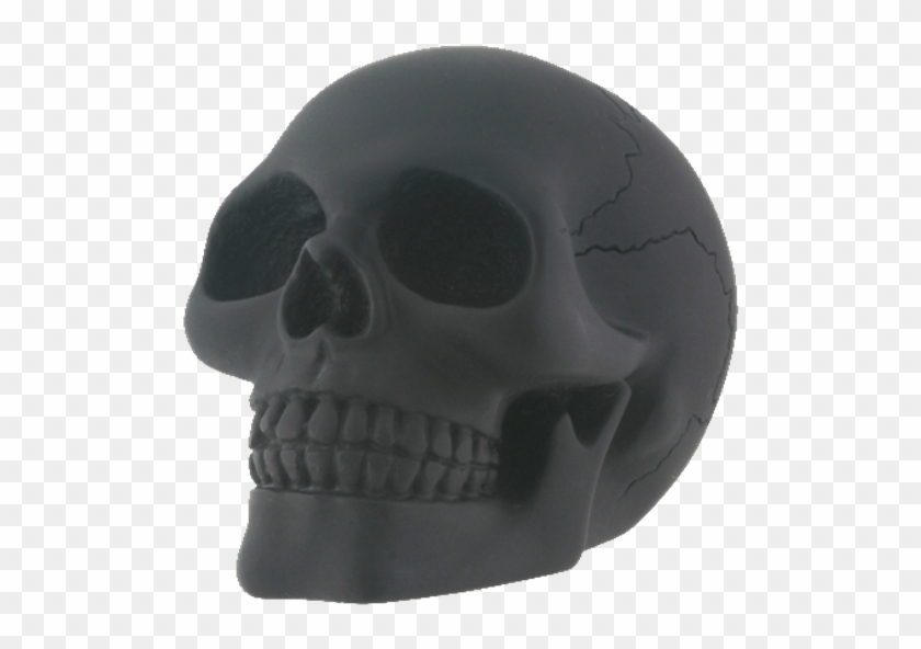 Price Match Policy - Skull Clipart