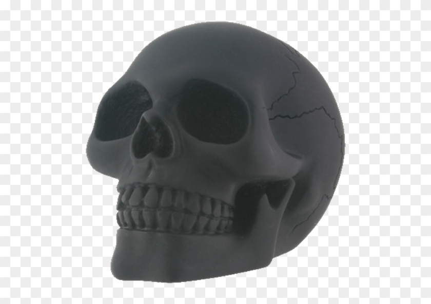Price Match Policy - Skull Clipart #3163188