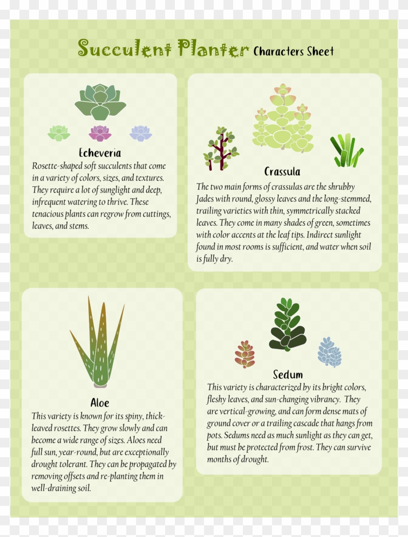 Character/level Design - Agave Clipart #3163479