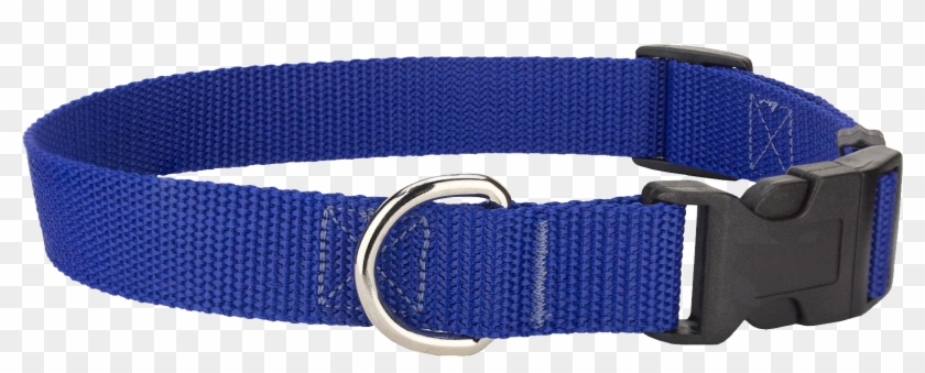 Dog Collar Png - Belt Clipart #3163665